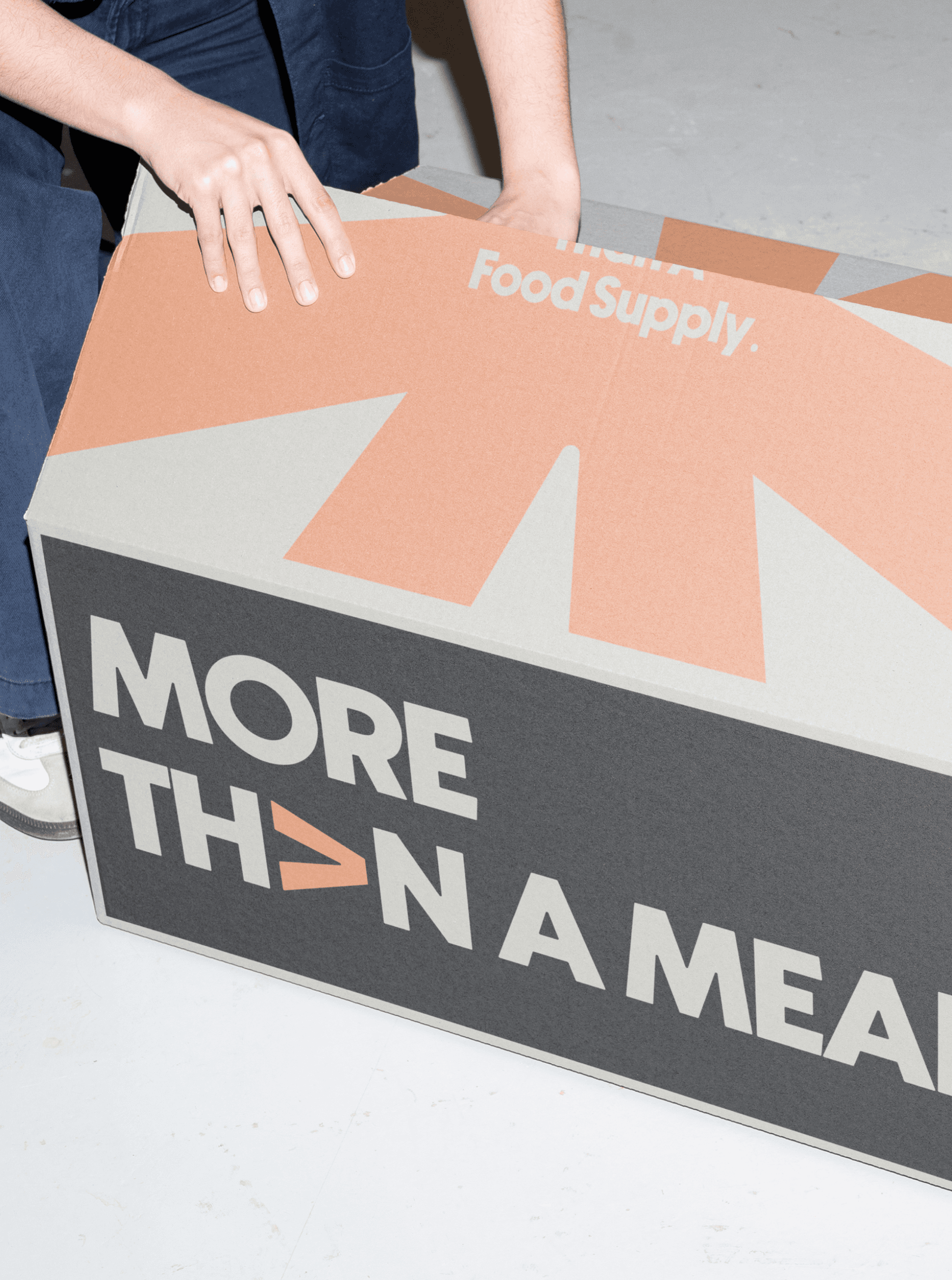 More Than a Meal - System diagram - community kitchens linked to FMCG production and employment